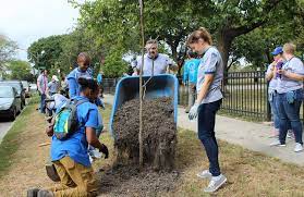 Want a cure for cynicism? Try digging holes and planting trees.